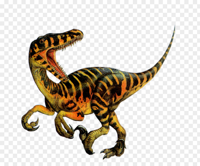 Dinosaur Tyrannosaurus Velociraptor Blanket T-shirt PNG