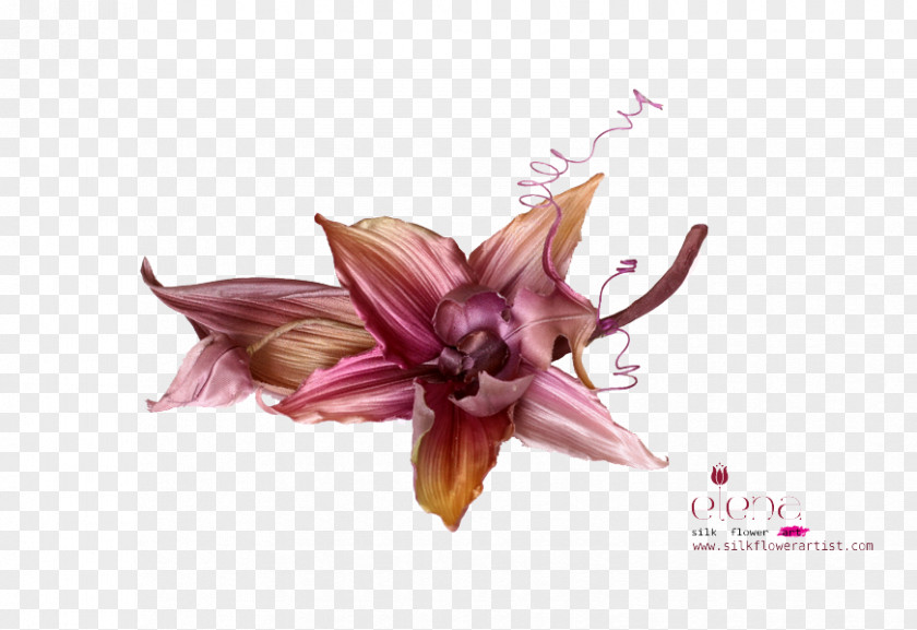 Flower Silk Artificial Petal Tutorial PNG