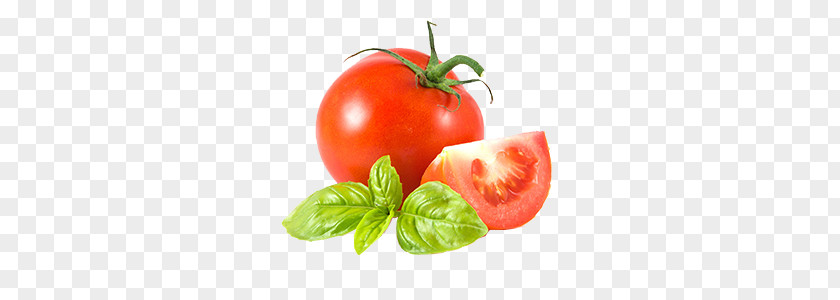 Vegetable Pasta Tomato Juice Salsa Vinaigrette Sauce PNG