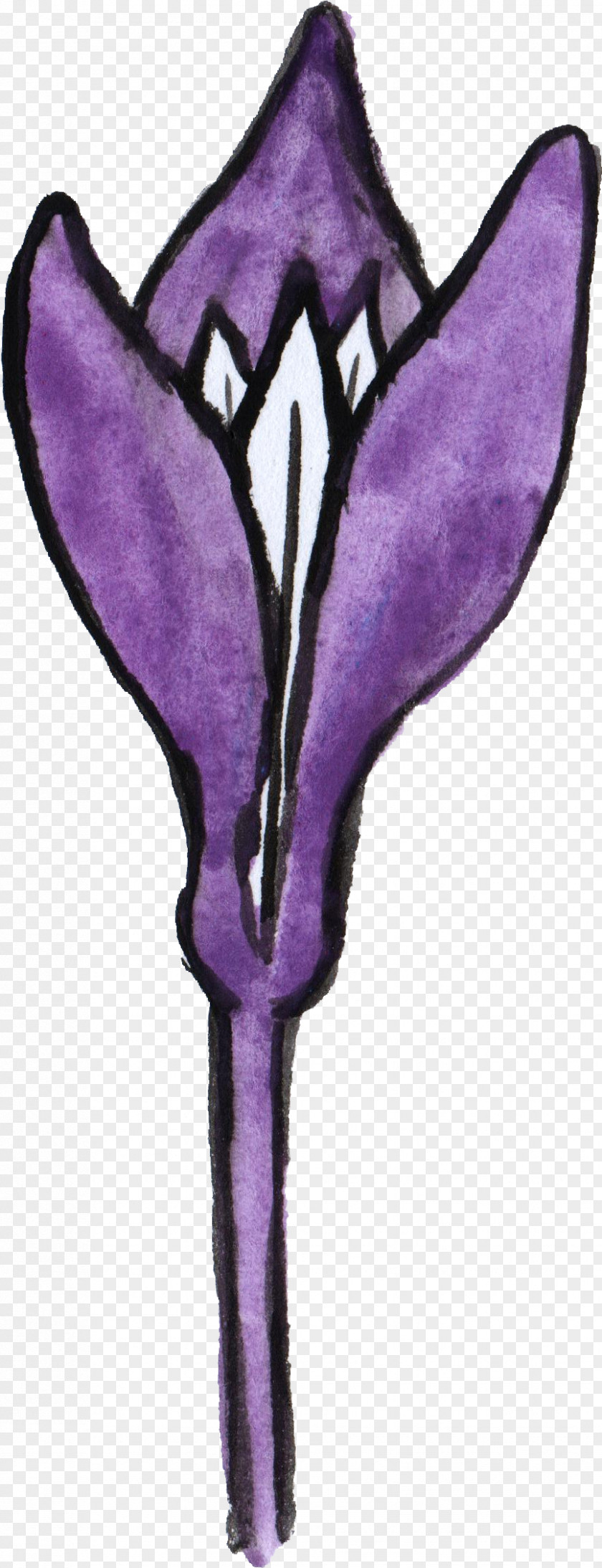 Watercolor Flower Flowering Plant Violet Purple Lilac PNG