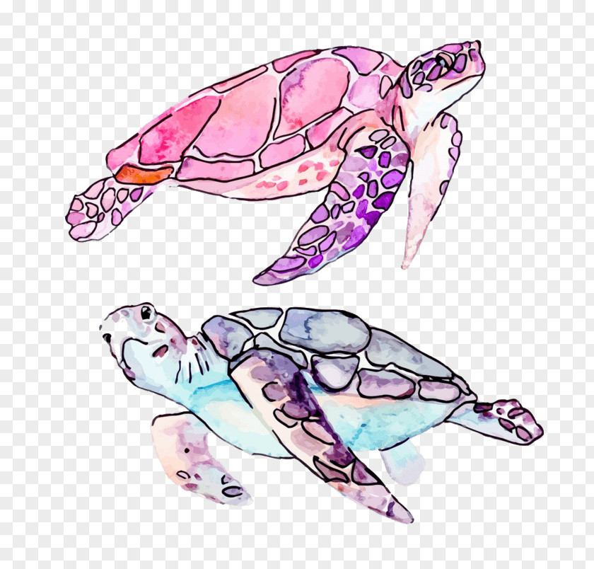 Accidents Watercolor Turtle Clip Art Vector Graphics Royalty-free Illustration PNG