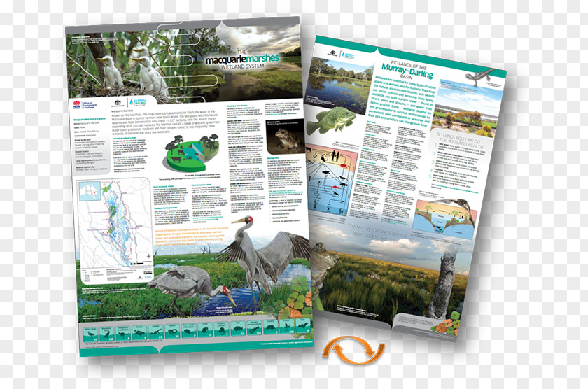 Environmental Poster Advertising Fauna Ecosystem Brochure PNG