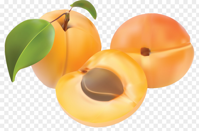 Fruit Apricot Peach PNG