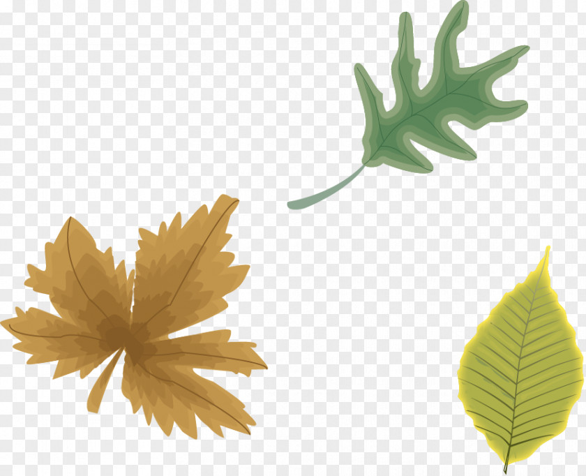 Autumn Leaves Effect Element Vector Depth Of Field Photography Focus PNG