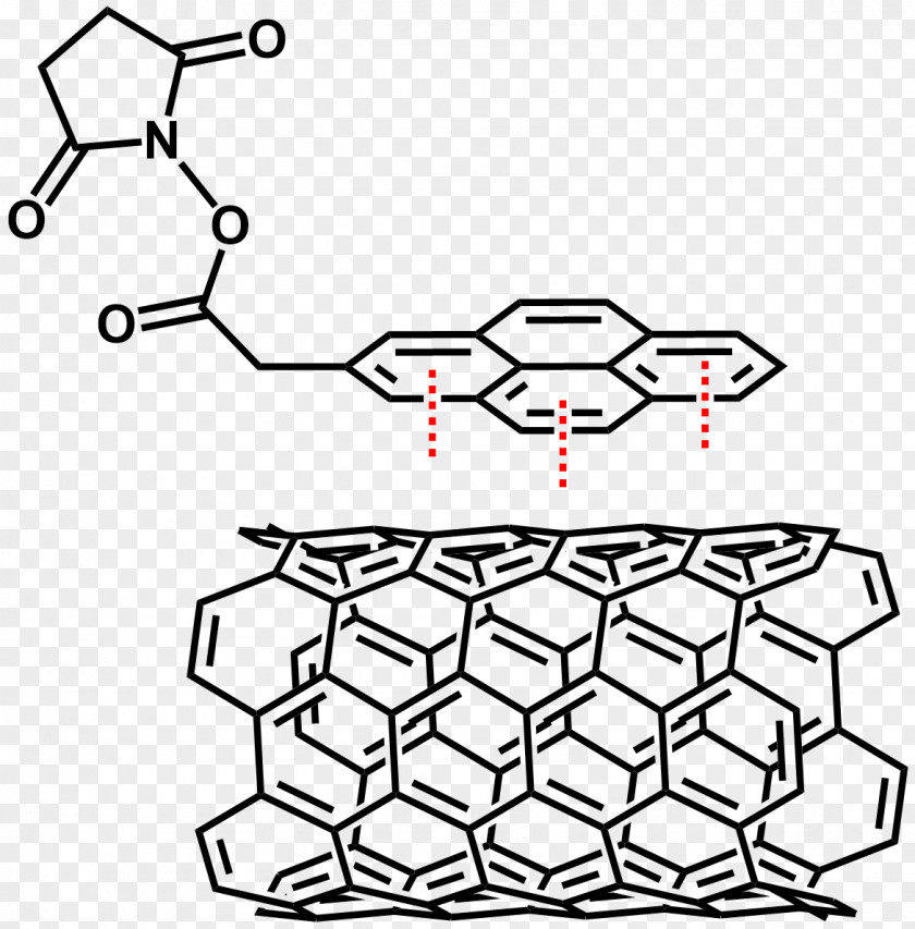 Carbon Nanotube Chemistry Nanotechnology Molecule Organic Compound PNG