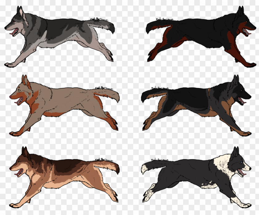 Dog Breed Fauna Wildlife PNG