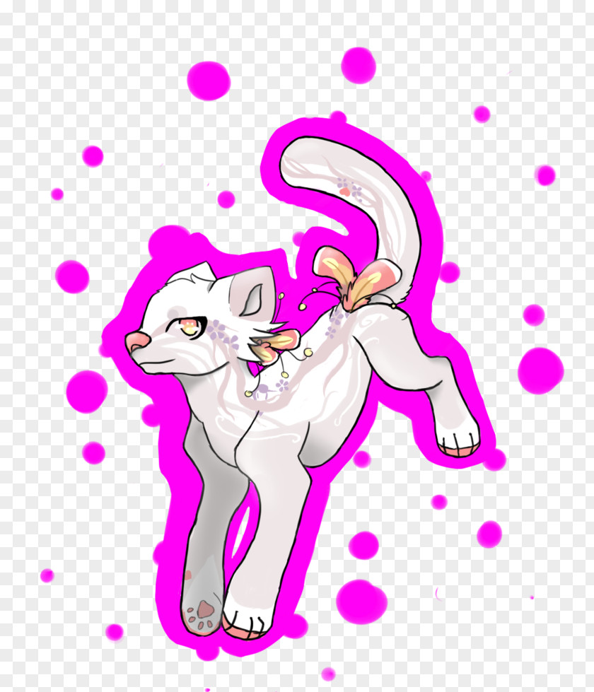 Kitten Whiskers Cat Horse PNG