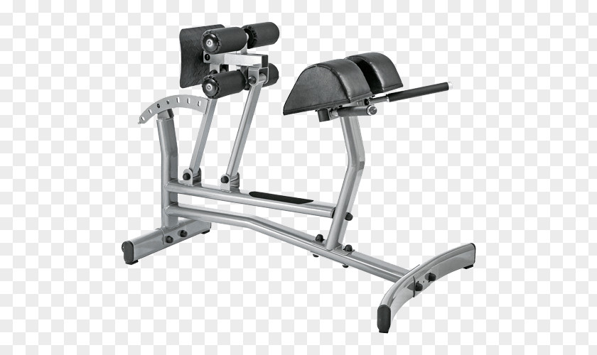 Romaine Roman Chair Bench Crunch Exercise Equipment Hyperextension PNG