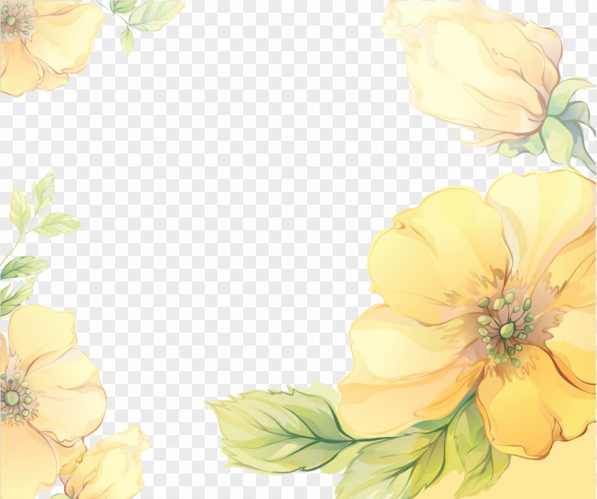 Yellow Flower Box Picture Frame Photography PNG