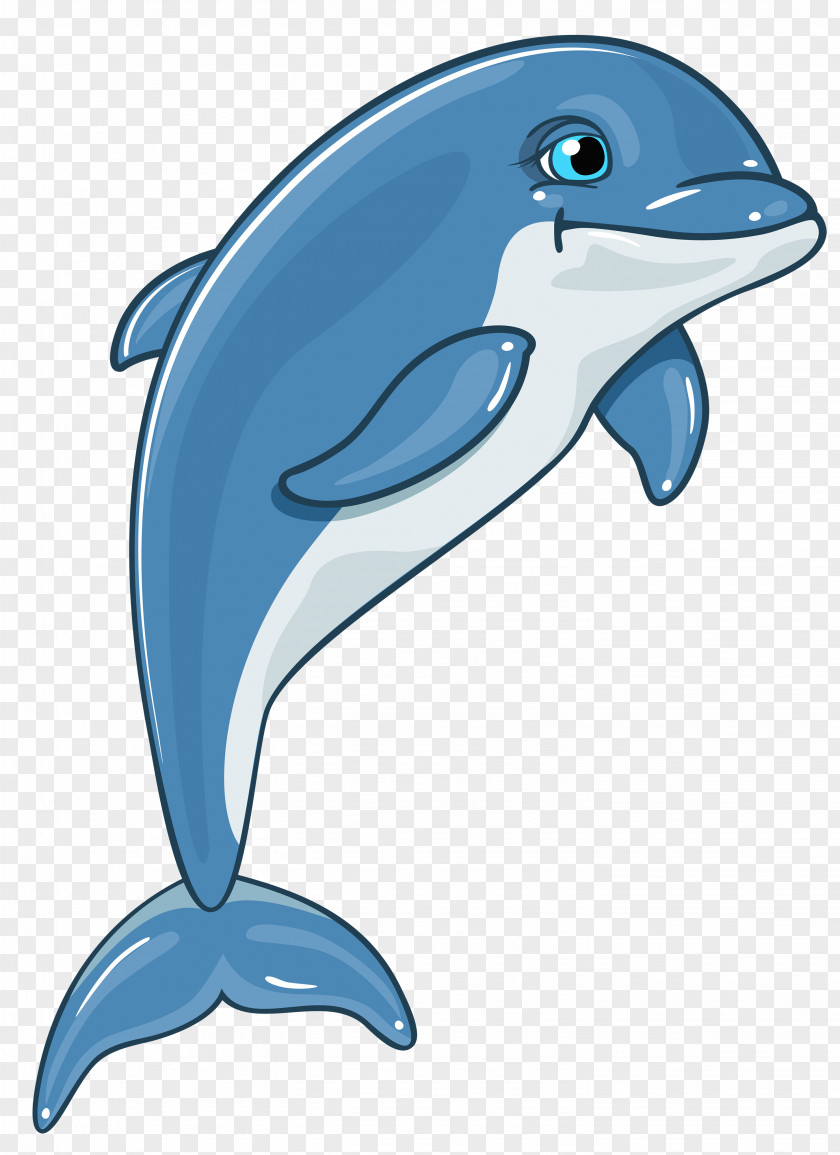 Dolphin Cliparts Clip Art PNG