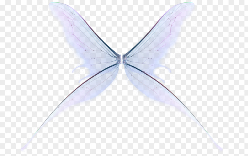 Fairy Drawing Art Magic PNG