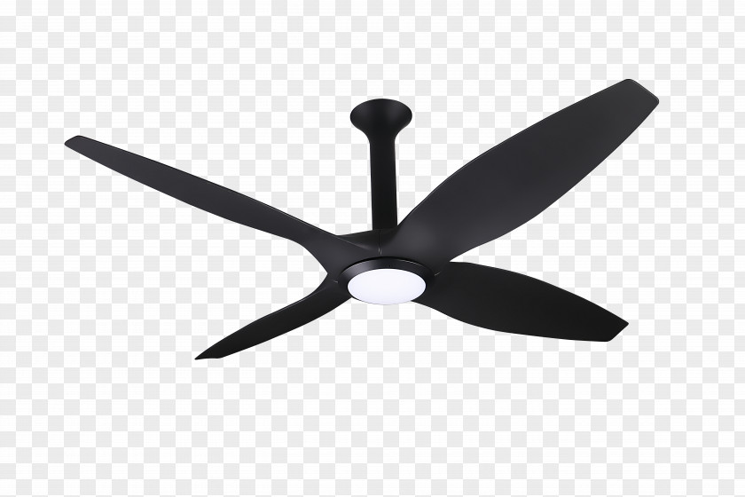 Fan Ceiling Fans Hunter Dempsey Newsome PNG