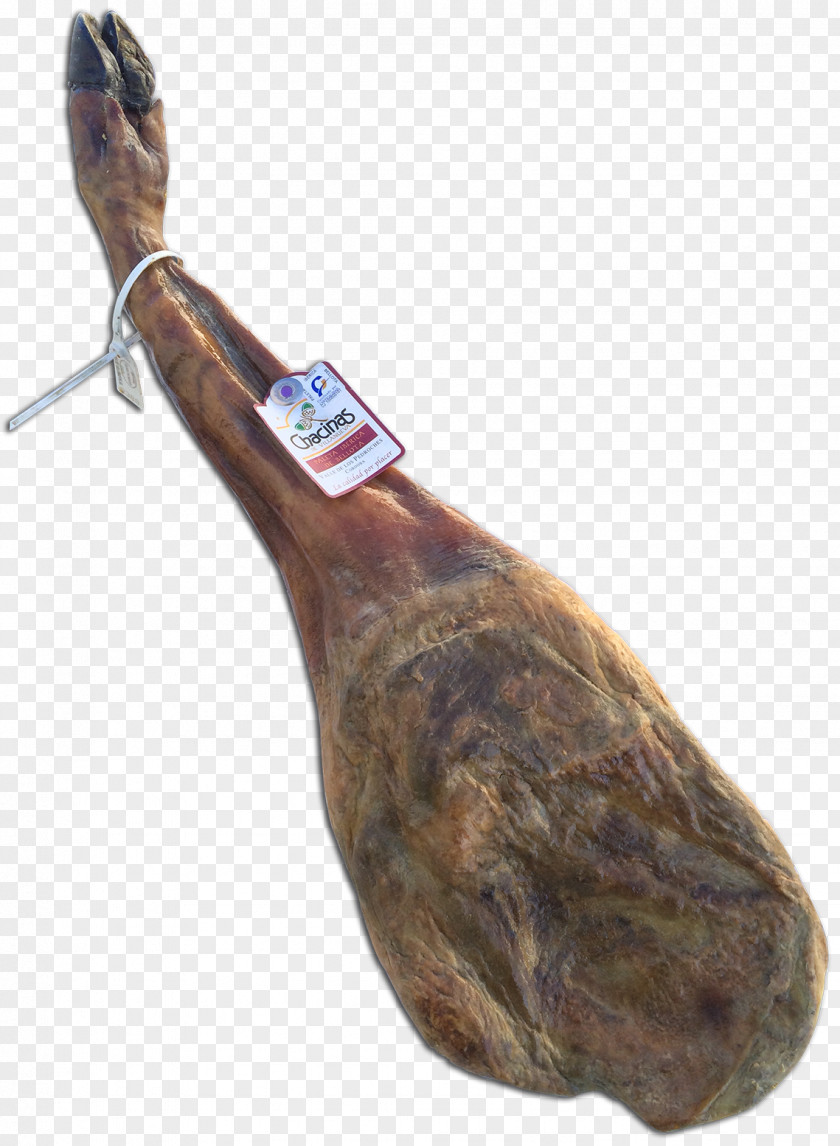 Ham Black Iberian Pig Chacinas De Villanueva SL Jamón Ibérico Meat PNG