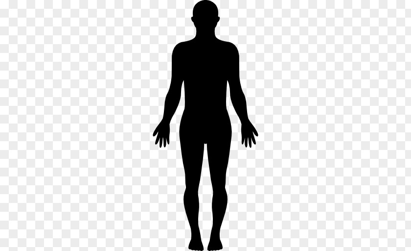 Human Body Homo Sapiens Silhouette Clip Art PNG