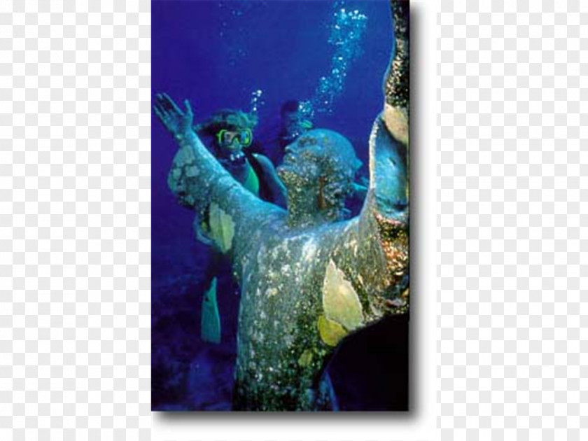Park John Pennekamp Coral Reef State Key Largo Florida Keys West Christ Of The Abyss PNG