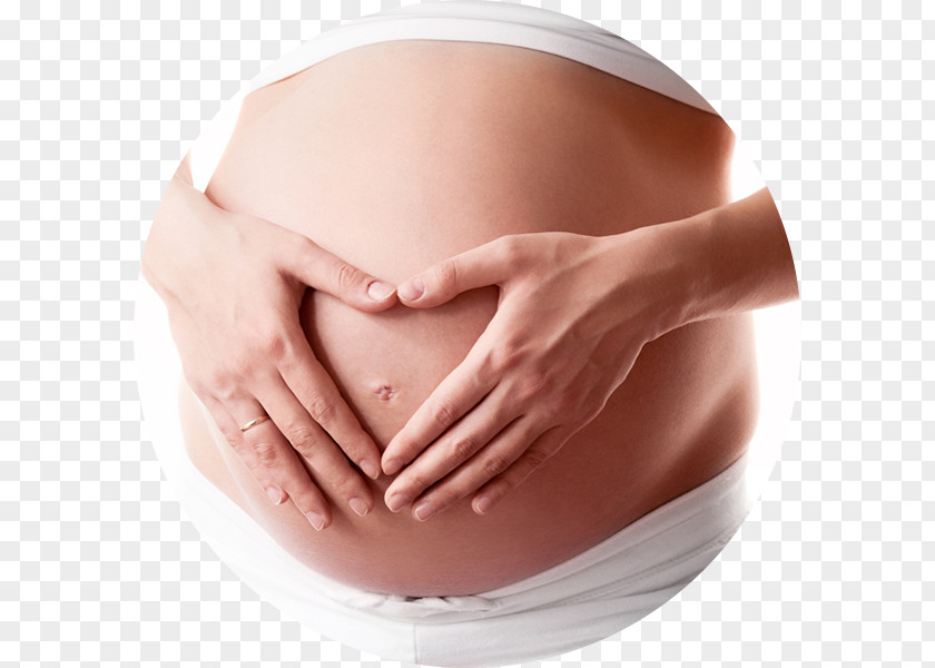 Pregnancy Abdomen Childbirth Prenatal Care Infant PNG