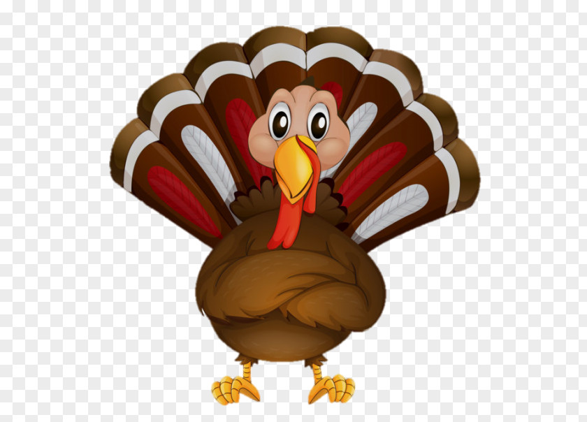 Thanksgiving Clip Art Domesticated Turkey Openclipart Transparency PNG