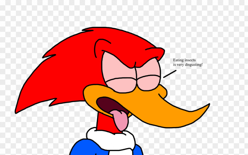 Woody Woodpecker Beak Insect Eating PNG