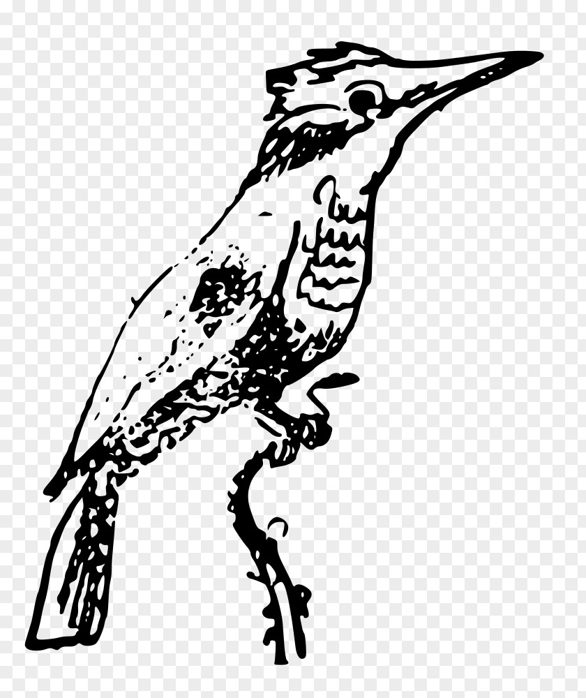 Flock Of Birds Kingfisher Clip Art PNG