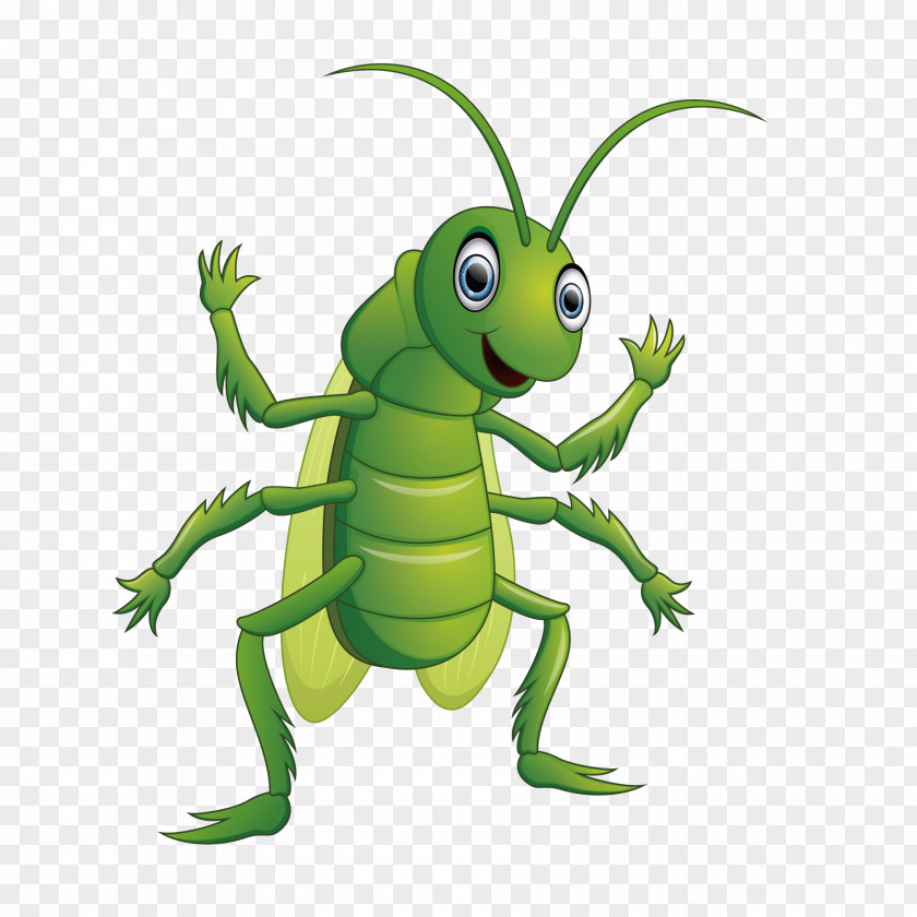 Happy Insects Grasshopper Cartoon Caelifera Illustration PNG