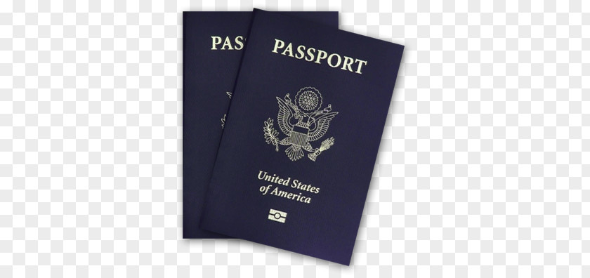 Passport PNG clipart PNG