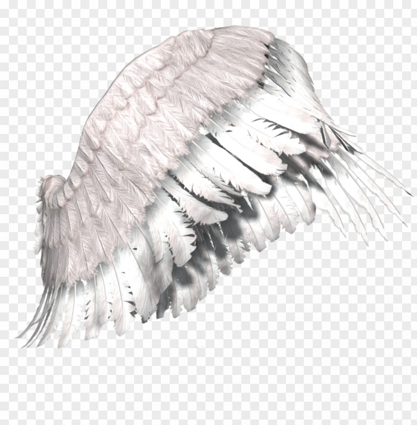 Angel Wings Gabriel Gothic Fiction Art Dream PNG