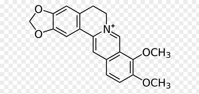 Berberine Hydrochloride Health Sigma-Aldrich PNG