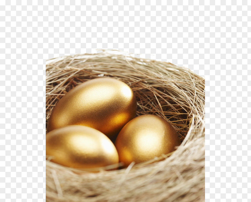 Creative Nest Of Golden Eggs Creativity PNG