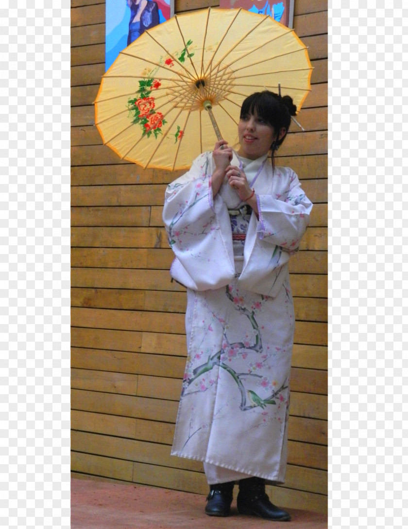 Geisha Kimono PNG