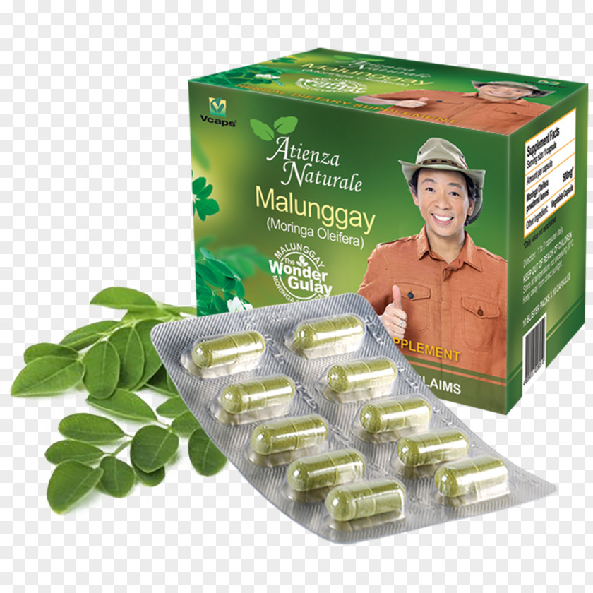 Malunggay Dietary Supplement Capsule Drumstick Tree ATIENZA NATURALE INC Pharmaceutical Drug PNG