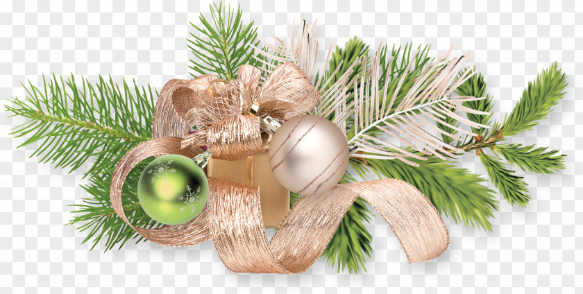 New Year Christmas Ornament Day Image PNG