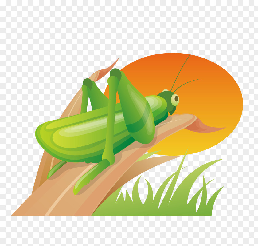 Plants Grasshopper South Korea Icon Design World Wide Web PNG