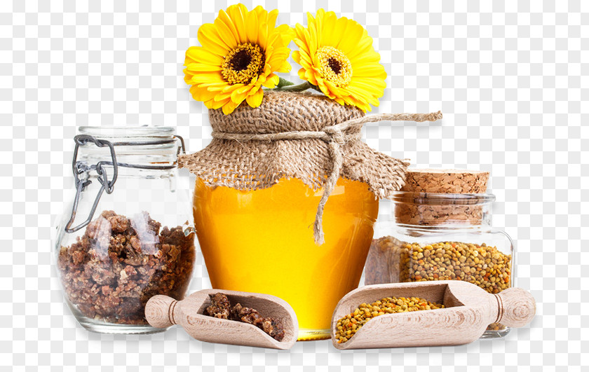 Bee Honey Energy Bar Hibernation Diet Health PNG