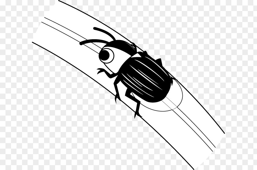 Firefly Insect Clip Art Illustration Design PNG