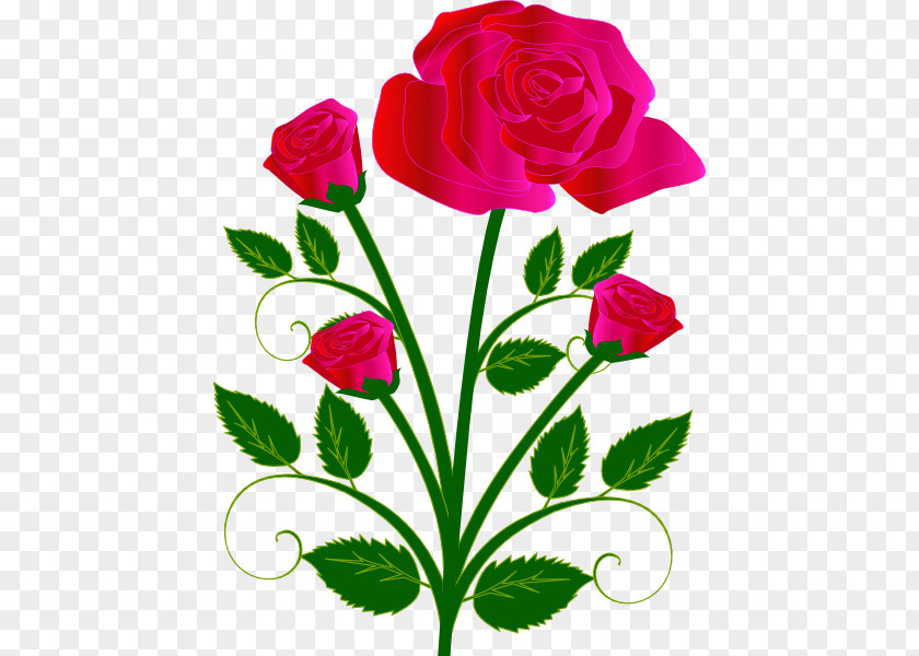Pink Roses Photo Rose Free Content Clip Art PNG