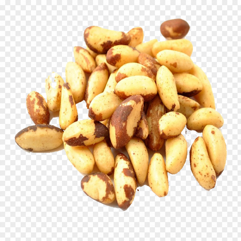 Roasted Nut Roast Food Brazil Peanut PNG
