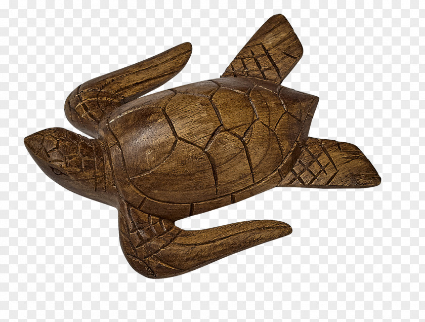 Small Fresh Decorative Wood Carving Seashell Sea Turtle PNG