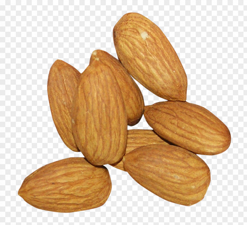 Fruit Nut Almond Transparency Clip Art PNG