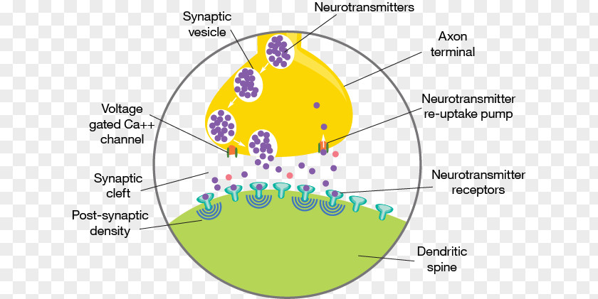 Neural Network Artificial Intelligence Deep Learning Anomaly Detection Long Short-term Memory Time Series PNG