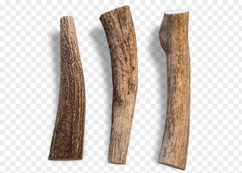 Antler Elk /m/083vt Dog Weight PNG