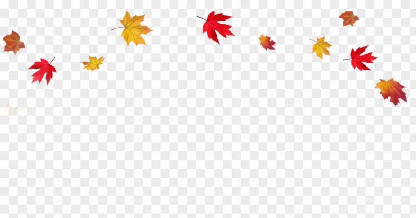 Autumn Leaf Color Clip Art PNG