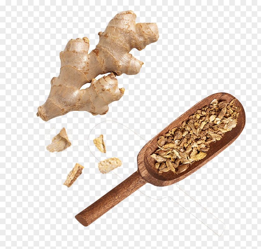 Ginger And Poured Material Indian Cuisine Vegetable Spice PNG