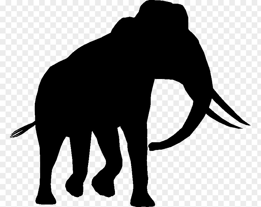 Indian Elephant African Cat Mammal Terrestrial Animal PNG