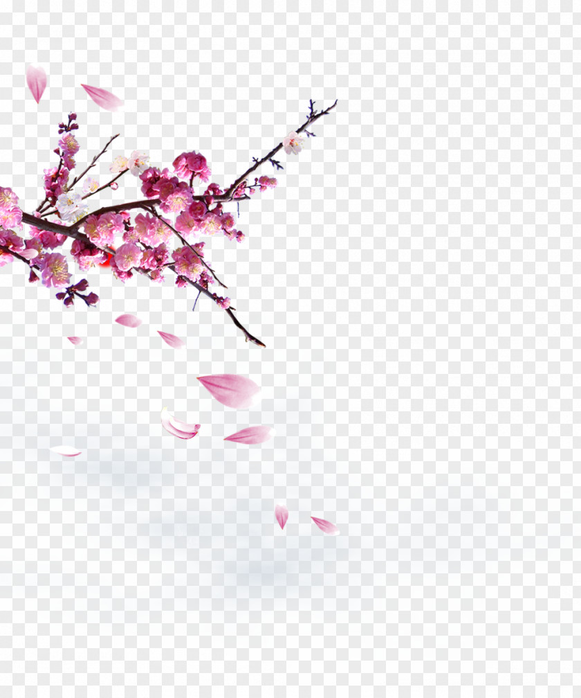 Plum Flower China Chinoiserie Poster Download Fukei PNG
