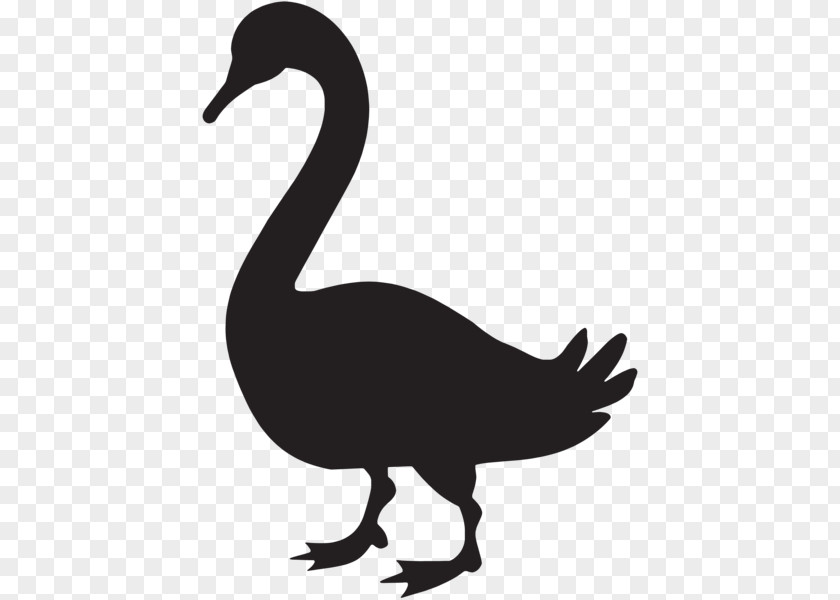 Shadow Clipart Swan Goose Duck Clip Art PNG