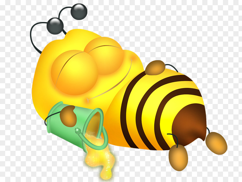 Sleeping Bee Honey Insect Clip Art PNG
