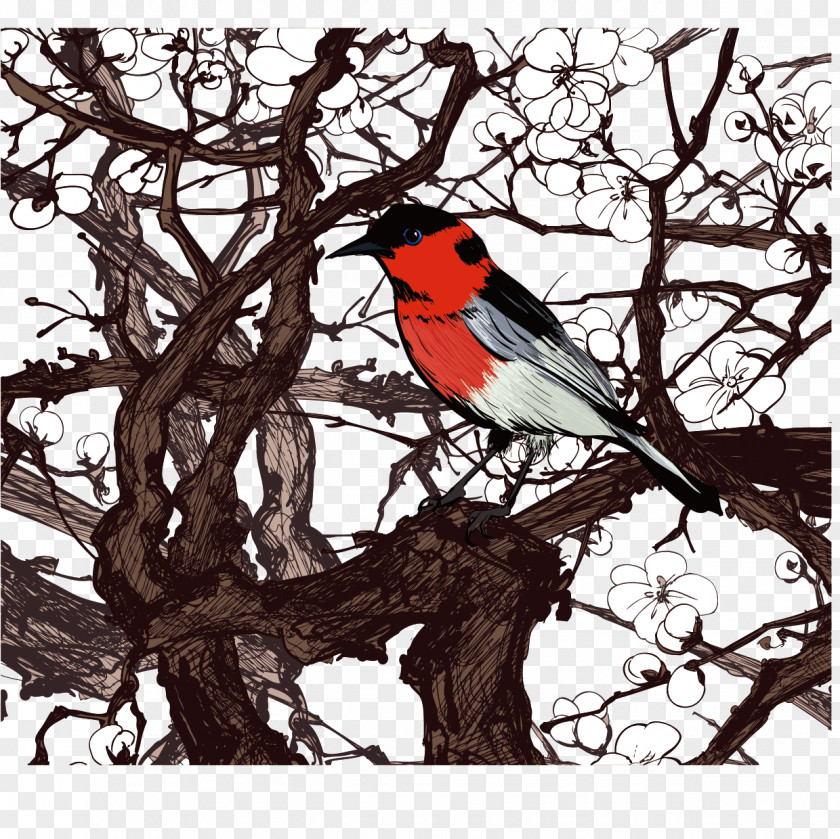 Tree Bird Vector Cherry Blossom Stock Photography Illustration PNG