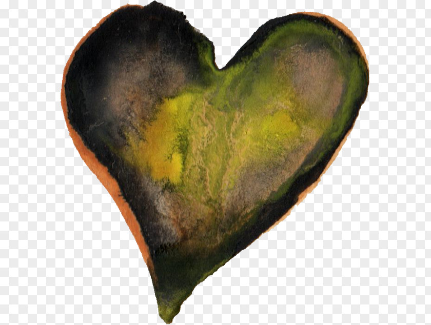 Watercolor Heart Painting Organism PNG