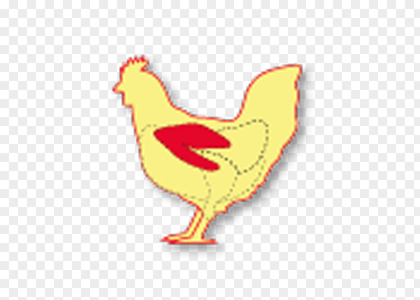 Chicken Rooster As Food Buffalo Wing PNG