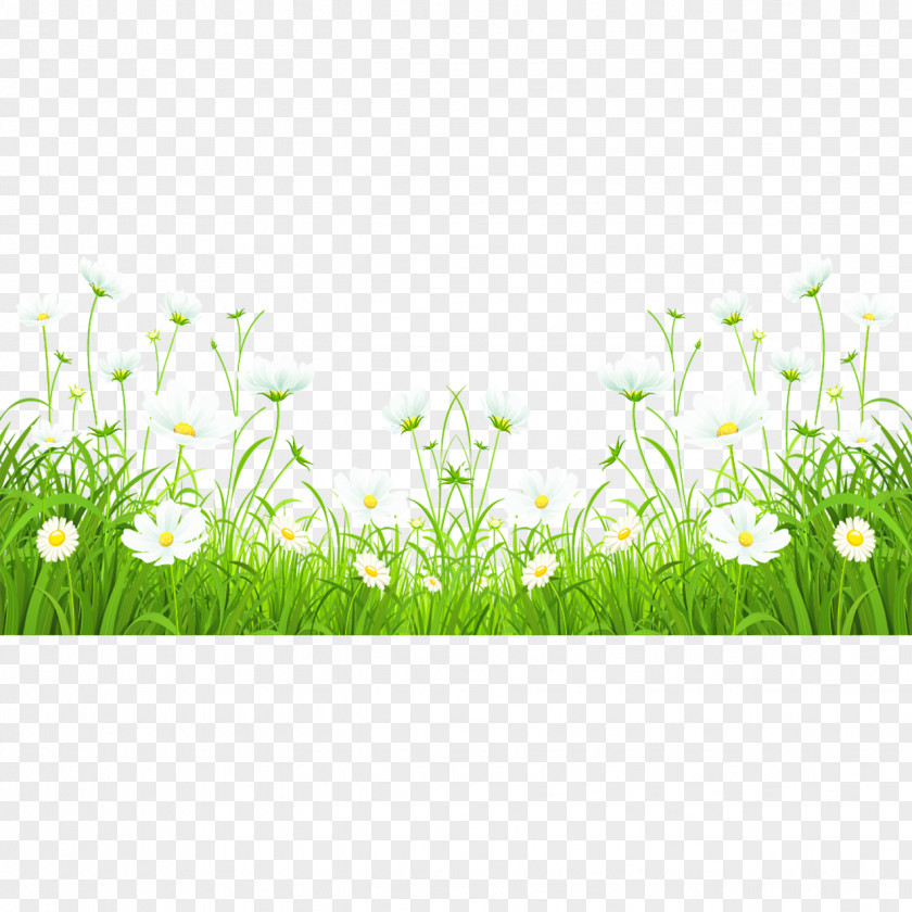 Grass Flowers Green Clip Art PNG